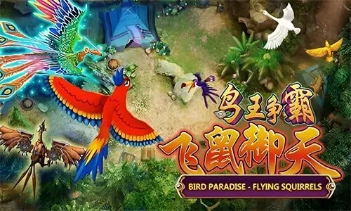 Bird Paradise